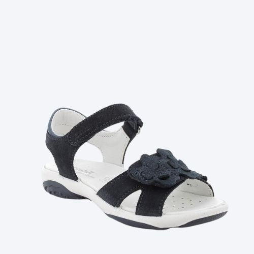 PRIMIGI 7885411 NAVY