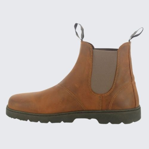 El Naturalista NOMADA BROWN