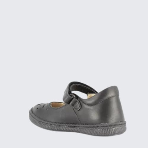 PRIMIGI 6432122 BLACK