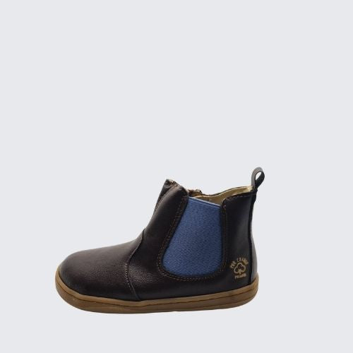 PRIMIGI 2934311 DARK BROWN