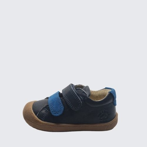 PRIMIGI 5901133 NAVY+BLUE